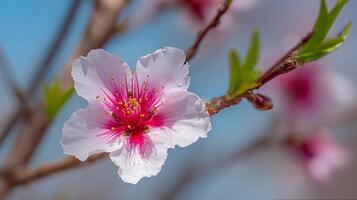 Photo of flower in sharp focus with vibrant textures