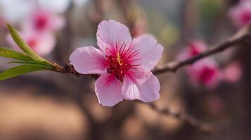 Realistic macro photo of flower resting on blooming branch