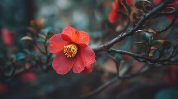 Natural close up photo of flower in crisp spring light