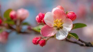 Bright spring flower with sharp textures and blurred greens photo