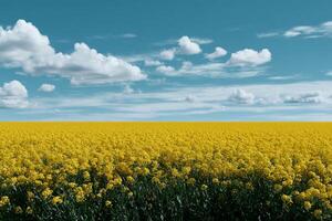 Vast field of vibrant yellow flowers under a partly cloudy sky photo