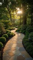 Serpentine Stone Path Through Lush Greenery Bathed in Golden Sunlight photo