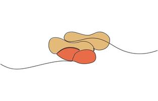 Continuous one line drawing whole and peeled healthy organic peanut, Fresh hypogaea concept for edible beans icon. Single line draw design. vector