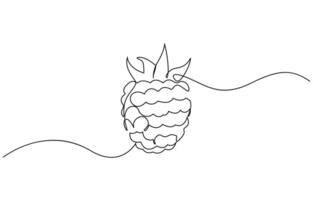 Continuous one line drawing. Raspberry berry fruit. Minimalist black linear sketch on white background, Pro design vector