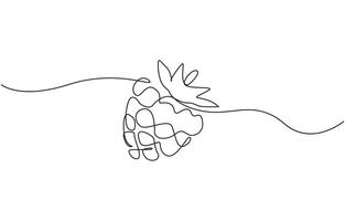 Continuous one line drawing. Raspberry berry fruit. Minimalist black linear sketch on white background. vector