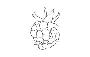 Continuous one line drawing. Raspberry berry fruit. Minimalist black linear sketch on white background vector