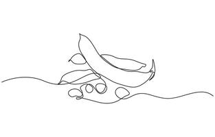 One continuous line art drawing with lettering organic fava beans, Pro illustration isolated on white background. beans pattern for vegan. vector