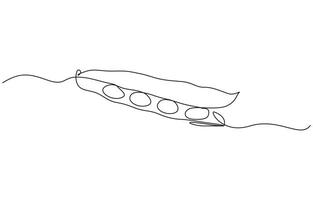 One continuous line art drawing with lettering organic fava beans, Pro illustration isolated on white background. vector