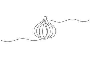 Continuous line drawing of garlic one line drawing illustration of red onion vegetable. Garlic in continuous line art drawing style. Garlic bulb with separated clove minimalist design. vector