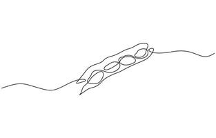 One continuous line art drawing with lettering organic fava beans, Pro illustration isolated on white background, Editable outline. vector