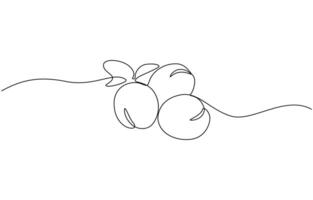Plum fruit continuous one line drawing minimalism design, Minimalist wall art. Single line drawing botanical theme for logo and posters illustration. Editable outline. vector