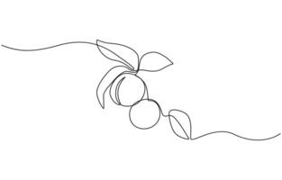 Plum fruit continuous one line drawing minimalism design, Minimalist wall art. Single line drawing botanical theme for logo and poster. vector