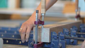 Dedicated craftsman handling clamping system, securing glued wooden planks, woodwork assembly video