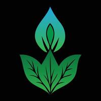 Abstract green leaf symbol representing nature ecology and organic growth with a black background vector