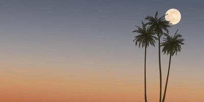 Silhouette coconut palm trees and full moon with sunset sky background graphic illustration have blank space. vector