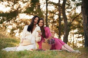 Lesbian couple is together, on, the ,picnic in nature photo