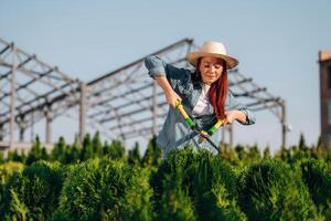 Using scissors to cut the bushes., Young redhead woman is taking care of garden photo