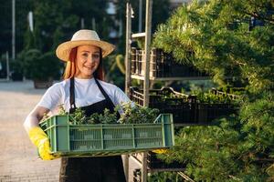 Young redhead ,woman, is taking care of garden photo