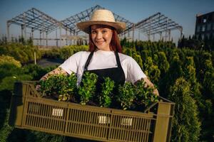 Front ,,view,, standing. Young redhead woman is taking care of garden photo