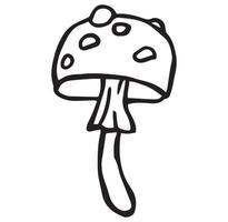 fly agaric mushroom simple illustration in doodle style vector