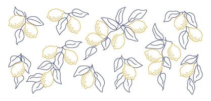 Set of hand-drawn yellow lemon branches in minimal line art style. Perfect for modern aesthetics, botanical designs, kitchen decor, packaging, fabric patterns, summer-themed projects vector