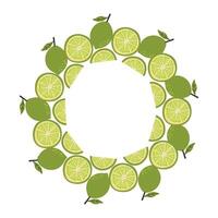 Wreath with whole and sliced green limes and leaves arranged in a circle.Bright and fresh citrus design perfect for summer themes, tropical backgrounds and food packaging vector