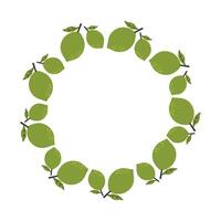 A wreath with green limes and leaves arranged in a circle. Bright and fresh citrus design perfect for summer themes, tropical backgrounds and food packaging vector