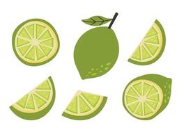 Set of fresh whole and sliced green lime. Citrus design perfect for summer themes, tropical backgrounds, recipe templates, and food packaging vector