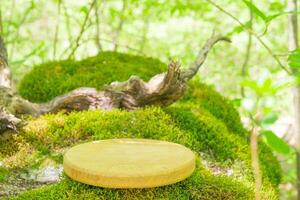 Wooden podium mock up on mossy ground in tranquil forest setting surrounded by greenery photo