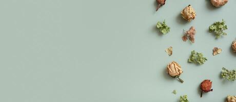 Banner with autumn pattern flat lay with from dried hydrangea flowers, roses and petals on colored background photo