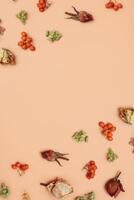 Autumn pattern with dry hydrangea flowers, rowan, roses on colored background. Vertical photo top view, flat lay