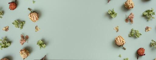 Banner with autumn pattern flat lay with from dried hydrangea flowers, roses and petals on green colored background photo