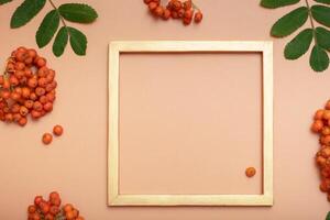 Blank golden frame with copy space decorated with rowan leaves and berries. Autumn mock up flat lay, top view. photo