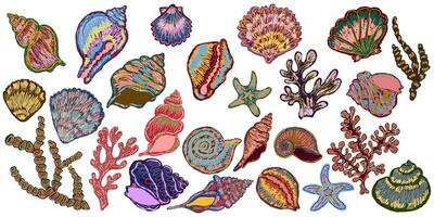 A variety of sea shells and corals vector