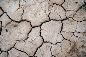 Dry cracked earth as a background close-up. photo