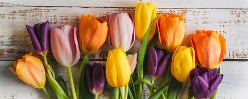 colorful tulips on a white wooden background. the view from the top. with space for text. Horizontal wide photo subtitle, cover. copy-space