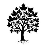 Black Silhouette of a Maple Tree with Roots, Maple Tree Illustration on White Background vector