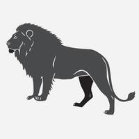 Lion silhouette on white background vector