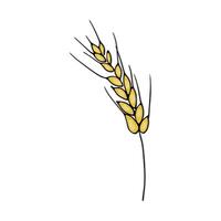 Ear of wheat in doodle style on an isolated white background. vector