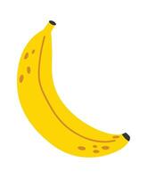 Single ripe banana featuring brown spots, isolated on a white background, symbolizing healthy eating habits and serving as a rich source of potassium and vitamins vector