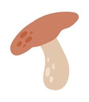 Mushroom with brown cap and beige stem growing wild, hand drawn digital illustration isolated on white background, simple and minimalist autumnal design vector