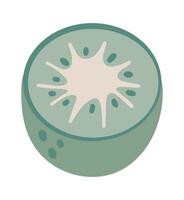 Kiwi fruit cut in half showing seeds, pulp and skin in a minimalist and pastel color palette, ideal for healthy eating and lifestyle projects vector
