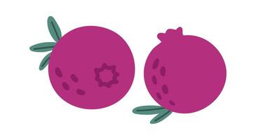 Featuring two simple cartoon style pomegranates, one revealing its star shaped seed section, resting on a plain white background adorned with small green leaves vector