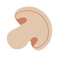 Minimalist illustration featuring a sliced mushroom, highlighting the stem and cap with visible gills, all set against a clean white background for a fresh, modern look vector
