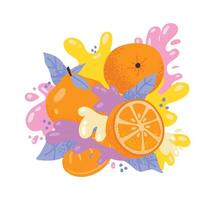 Whole oranges, orange slices, and stylized splashes of juice and cream create a dynamic and refreshing composition, perfect for capturing the essence of citrus fruit vector