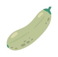 Cartoon illustration of a single zucchini with green stem laying on a white background, representing healthy eating, veganism, and farm to table concepts vector