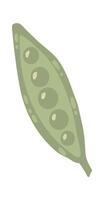 Green pea pod featuring vibrant peas nestled inside, illustrated in a simple, playful style. Isolated on a clean white background, capturing the essence of fresh, healthy vegetables vector