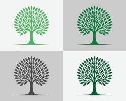 Set of trees 4 tree in a set vector