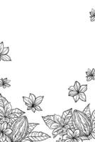 A hand-drawn sketch of cocoa beans in black ink, a design in the style of sketches, vector