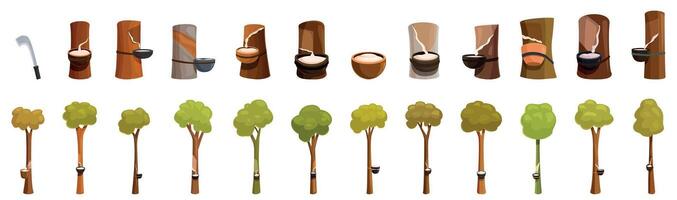 Rubber farm tree icons set. Rubber tree tapping process and collection techniques vector